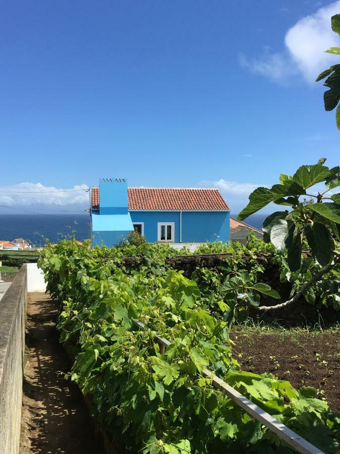 Casa Do Vizinho Villa Porto Judeu Екстериор снимка